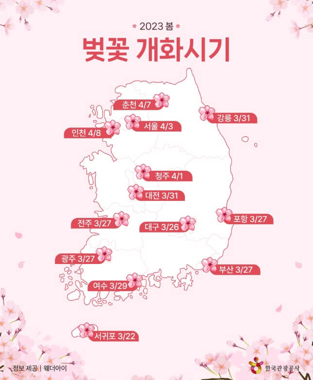 벚꽃 개화지도