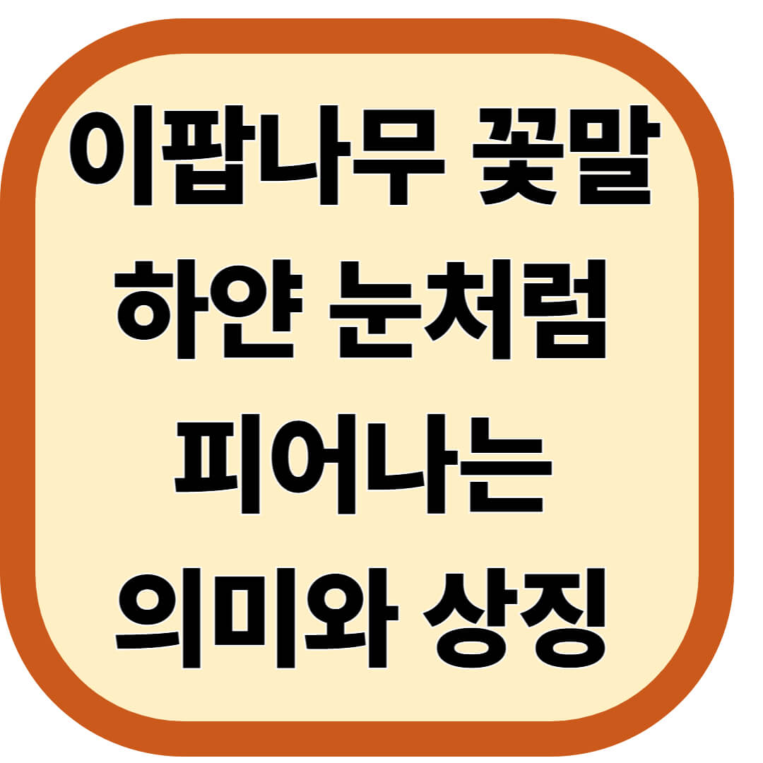 이팝나무 꽃말