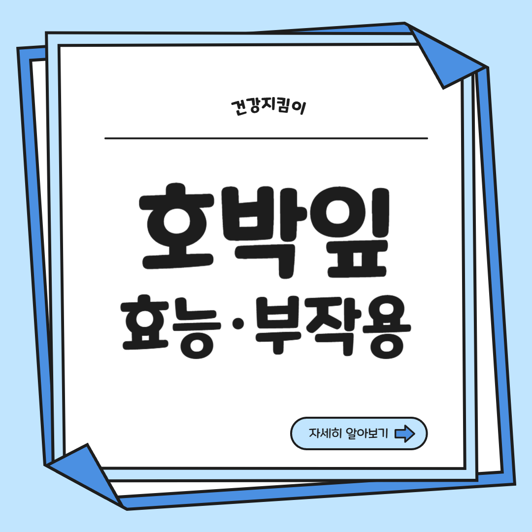 호박잎 효능 부작용 고르는법 칼로리