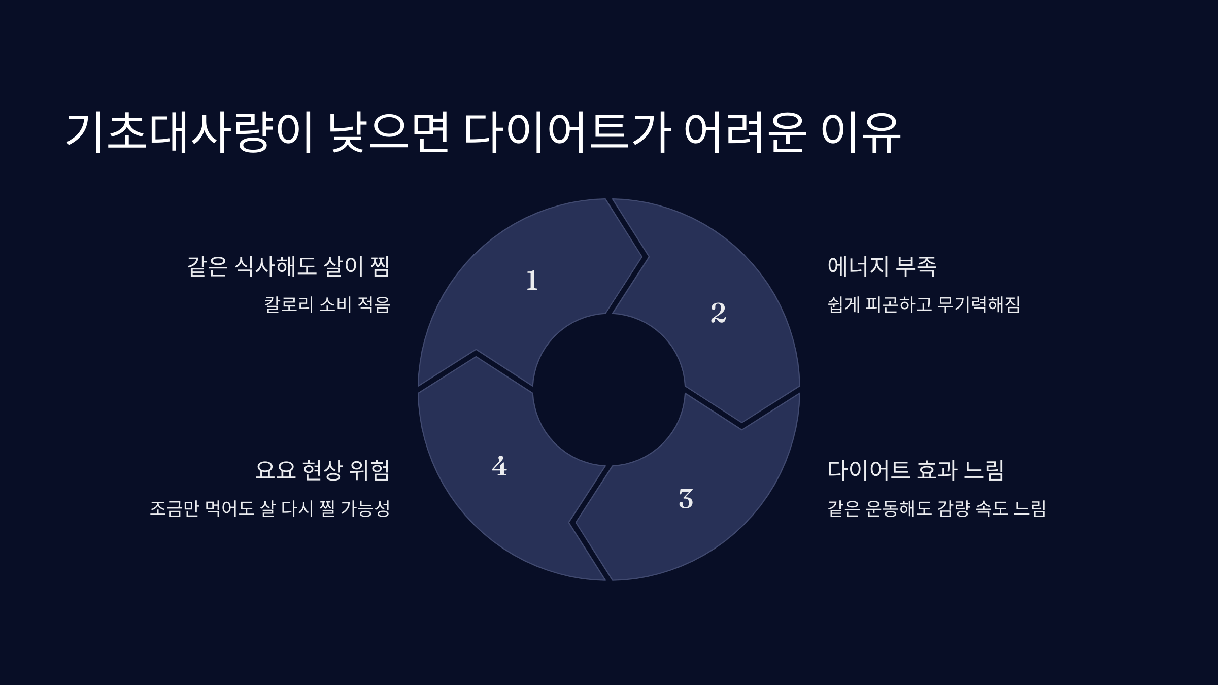 다이어트 핵심: 기초대사량을 높여라