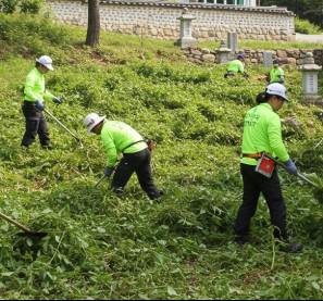 밀양 벌초대행 다온그룹 묘지 관리부터 이장까지 한 번에 관련사진