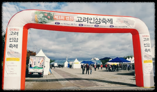 연천 고려인삼축제