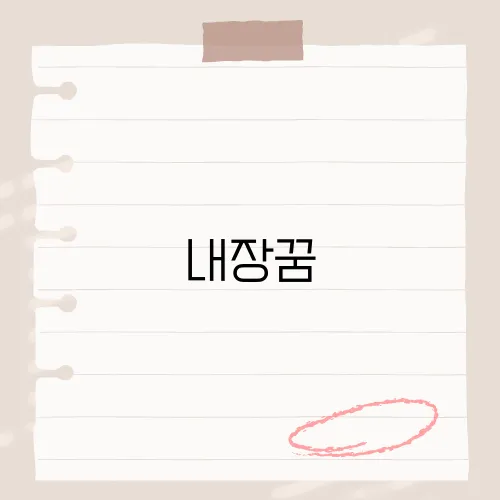 내장꿈, 몸 속 깊은 소리 내면의 상태를 읽는 상징 해석