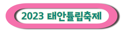 태안 튤립축제