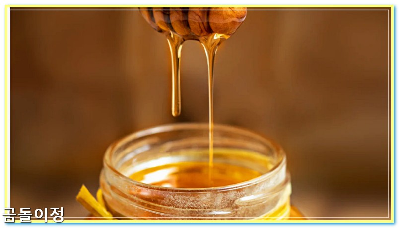 꿀 효능 칼로리 비교, 당뇨 환자가 알아야 할 핵심