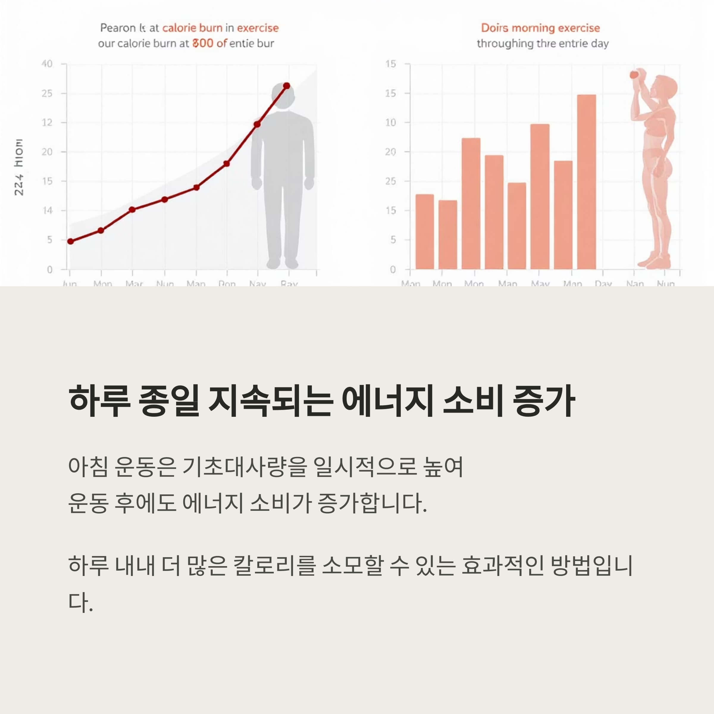 하루 에너지 소비 증가 효과