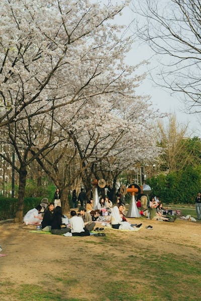 공기청정기 필터 교체 시기 알림