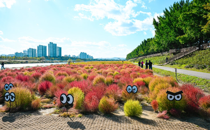 천안 아산) 곡교천 단풍길 실시간 충경