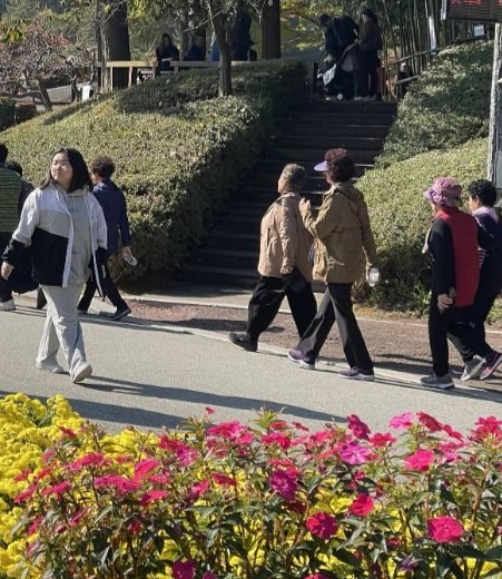 청남대 국화꽃 축제