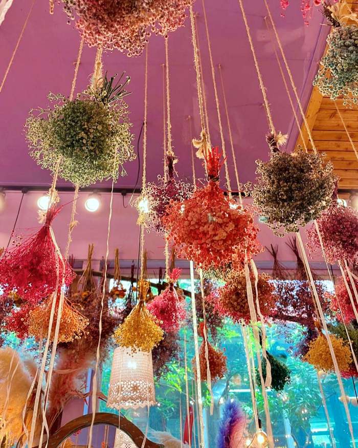 생방송오늘저녁 보령 대천 여행 바둑이네 동물원 미술관 허브랜드 모히또 허브꽃밥 디저트 플라워 카페