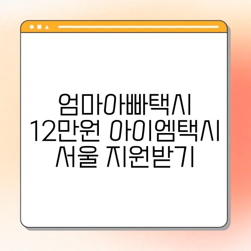 엄마아빠택시 12만원 아이엠택시 서울 지원받기