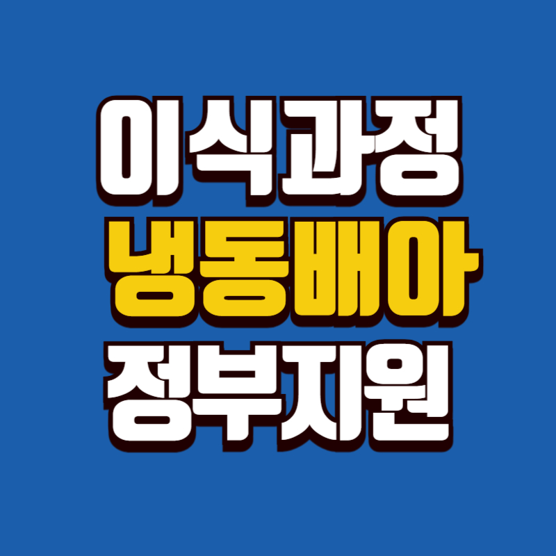 냉동배아 이식 과정