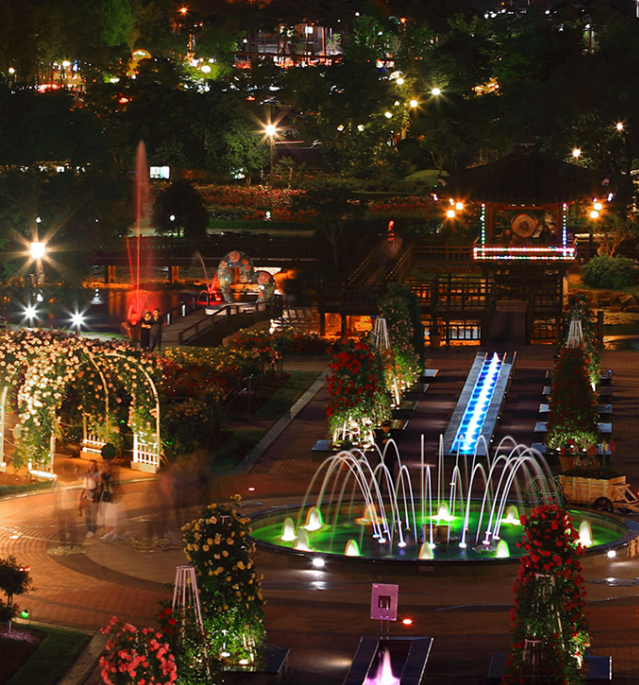 2024 곡성 장미축제 주차장 위치 행사일정 (증기기관차 예매꿀팁)