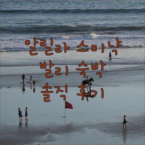 알릴라 스미냑, 발리 숙박 후기! 최