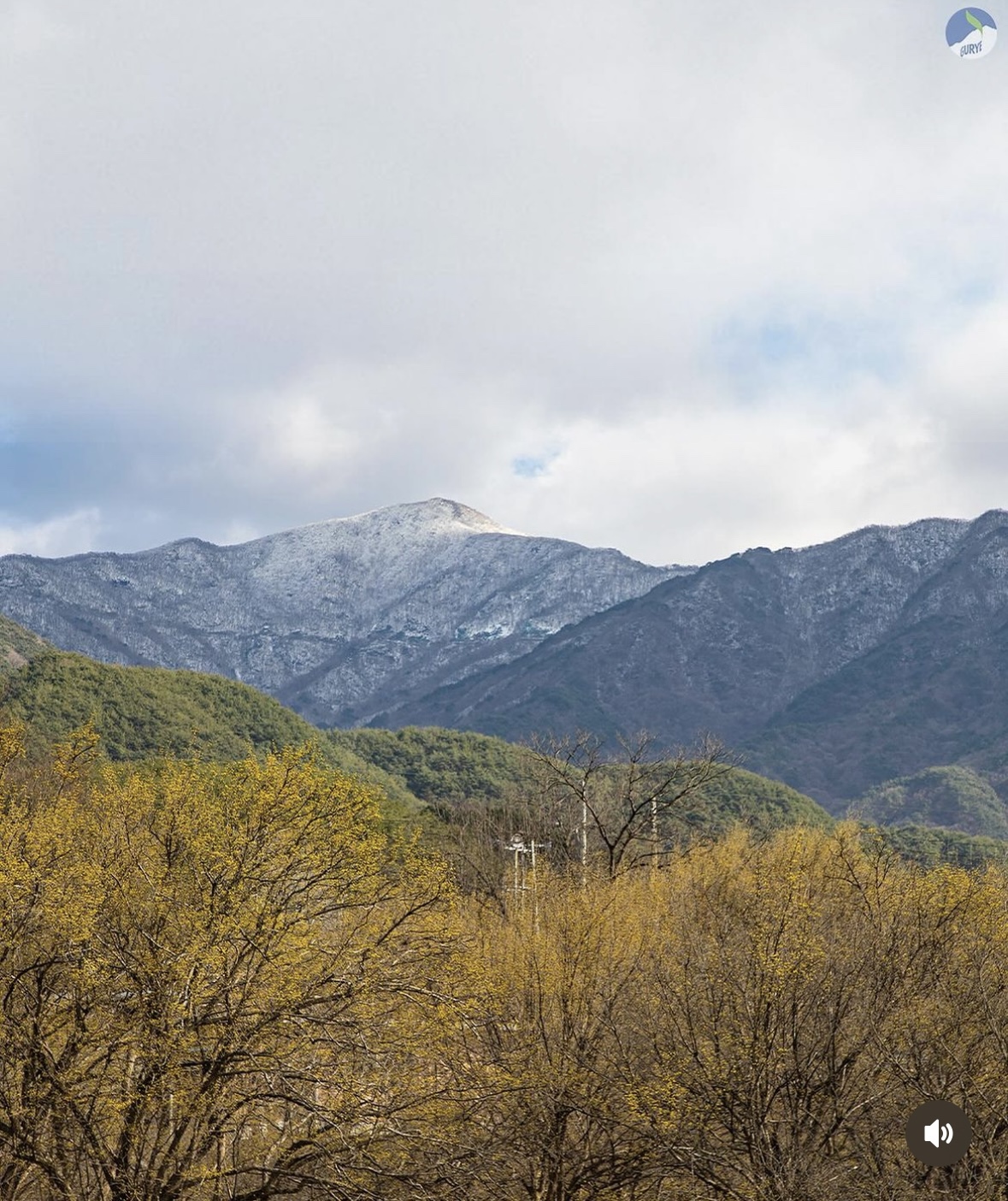 구례 산수유축제
