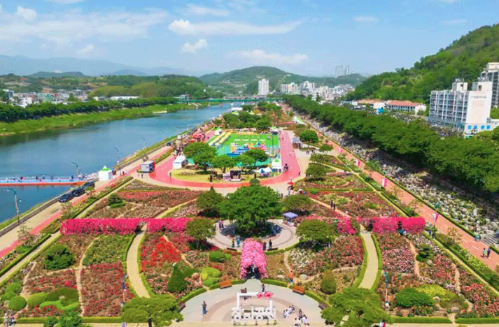 2025 부천 백만송이 장미축제