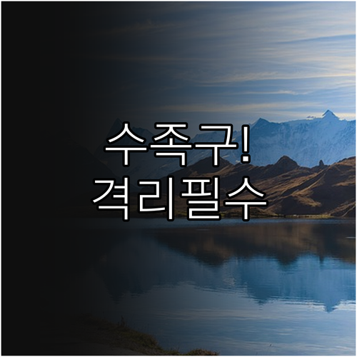 수족구 증상부터 격리까지 한눈에 보기..