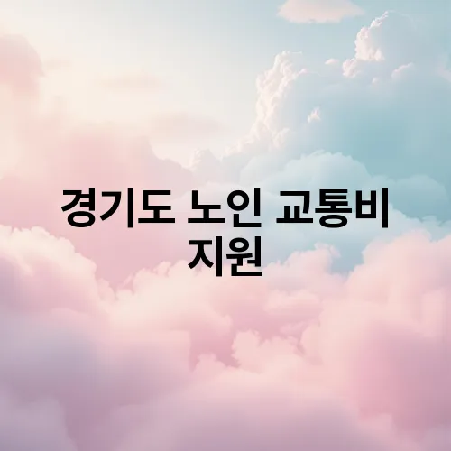 경기도 노인 교통비 지원