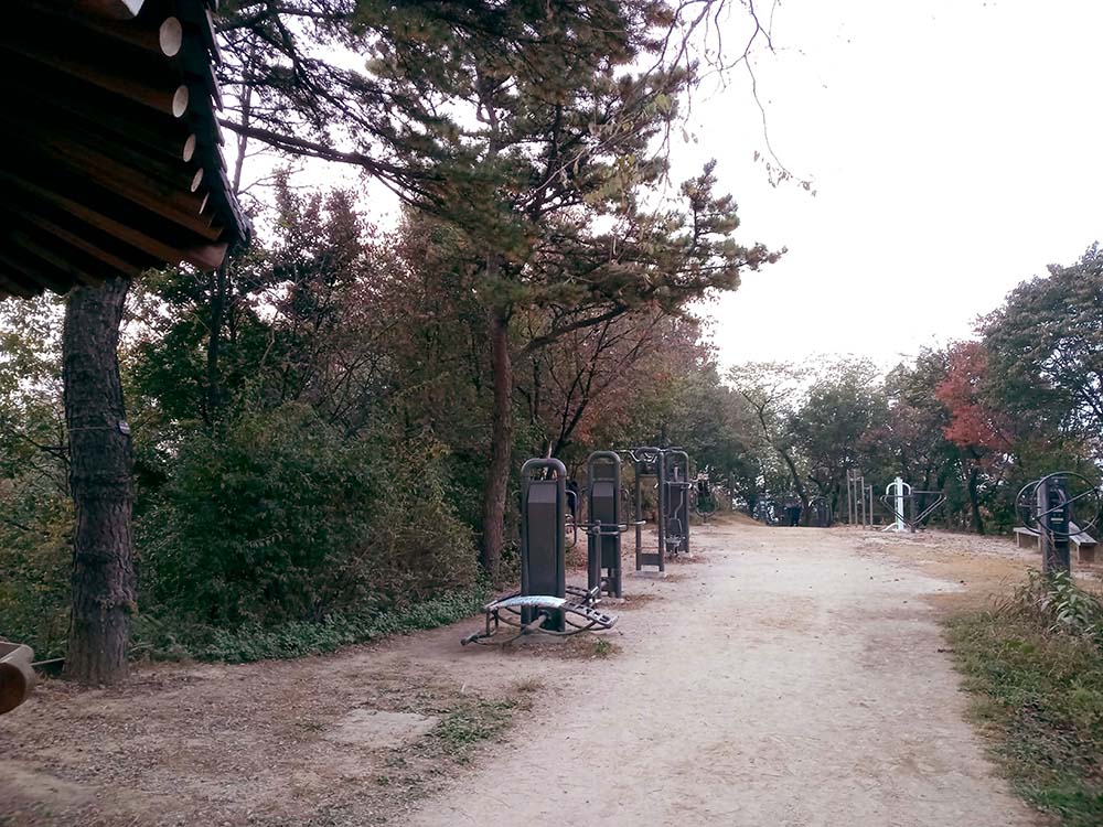 서대문구 가을전통시장 걷기챌린지