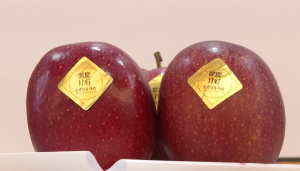 감홍사과 보관
