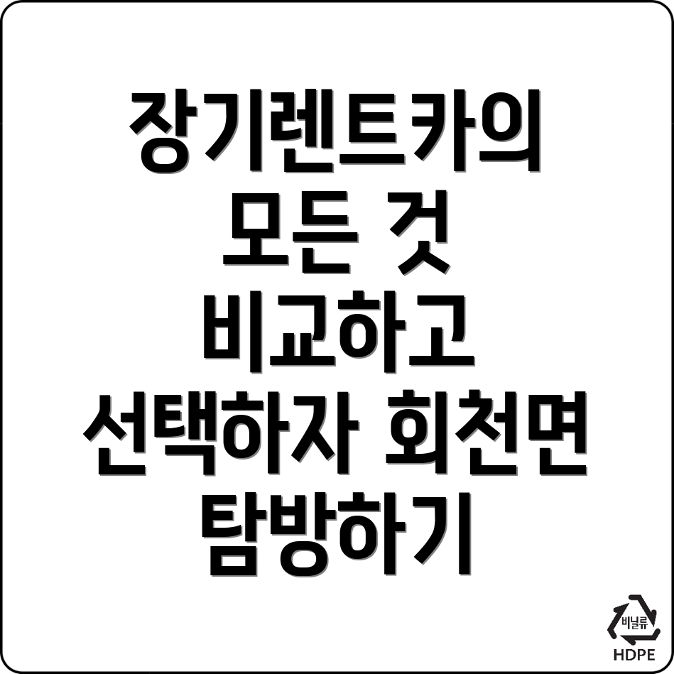장기렌트카