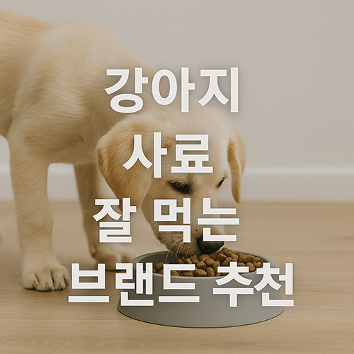 강아지-사료-잘-먹는-브랜드-추천