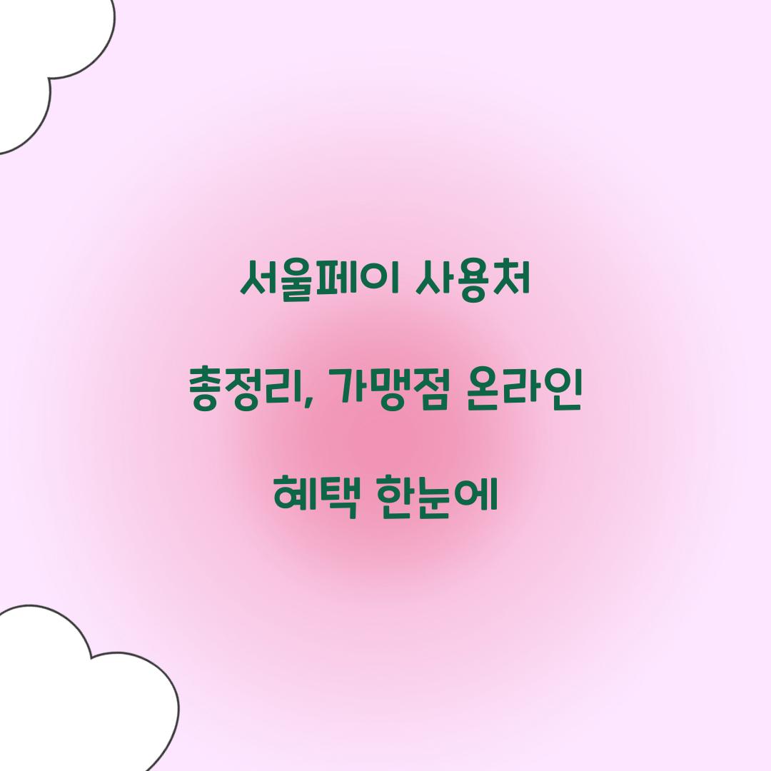 서울페이 사용처
