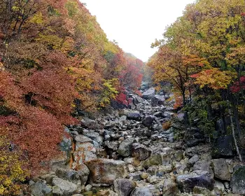 지리산 국립공원_17