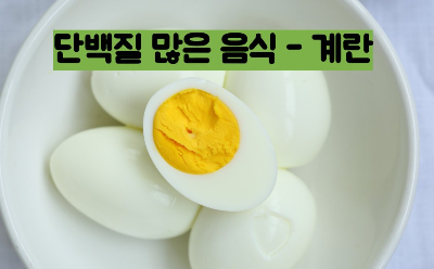 단백질 많은 음식