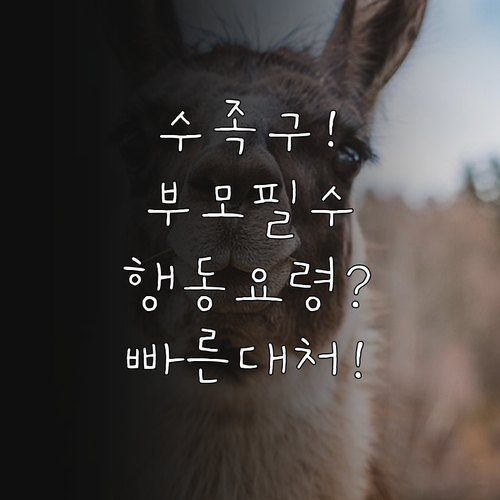 수족구에 대한 자주 묻는 질문과 부모..