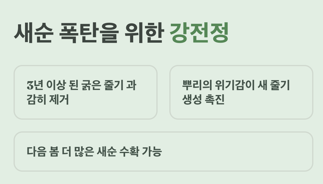 새순 폭탄을 위한 비장의 무기