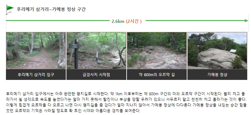 울창한 나무 사이로 보이는 가파른 산행길