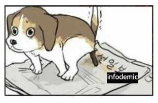 품위 유지와 과도한 간섭 사이