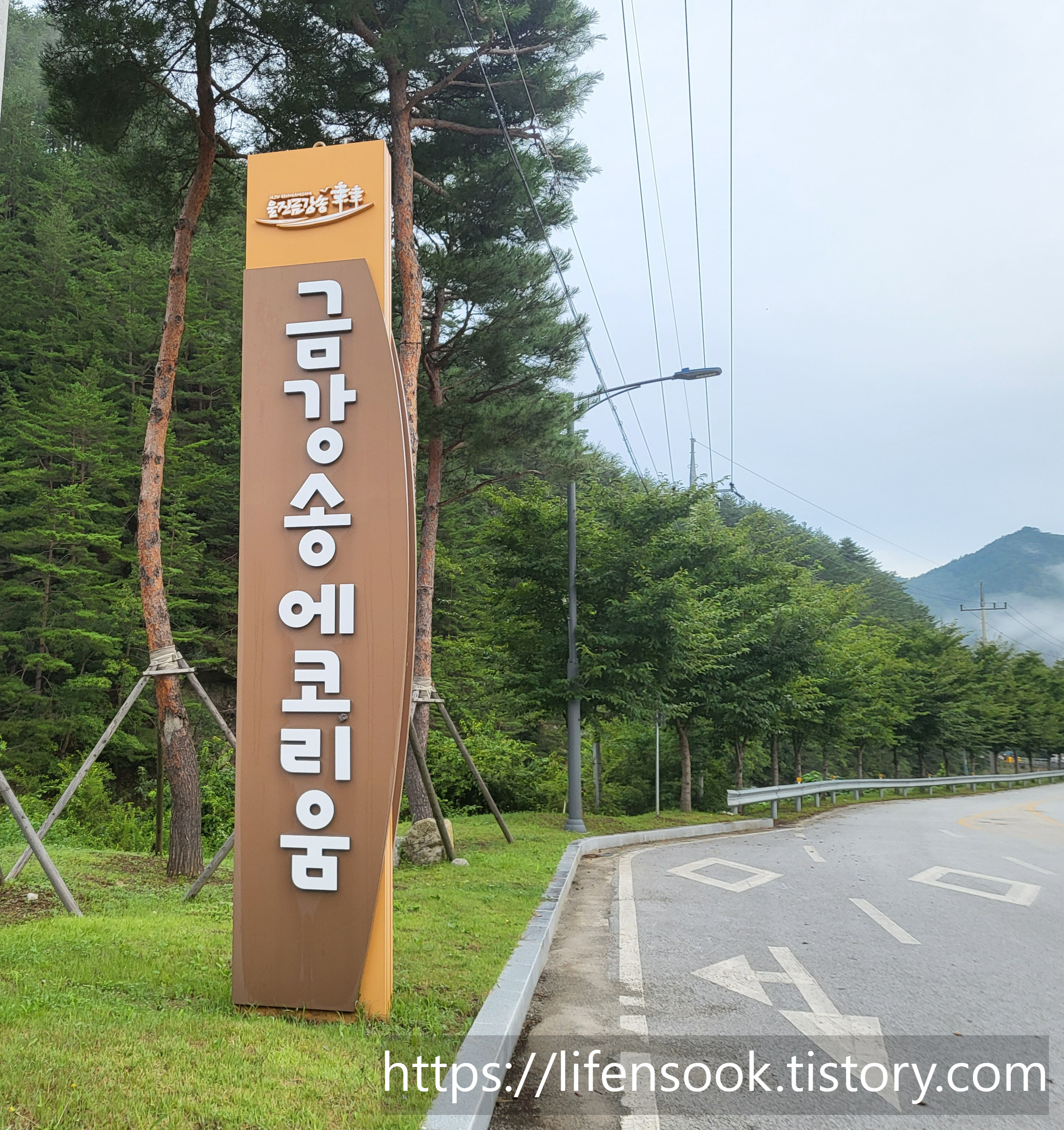 금강송 에코리움 간판