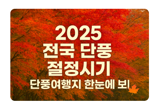 2025 가을 단풍 여행지 추천! 지역별 단풍 절정 시기 한눈에 정리