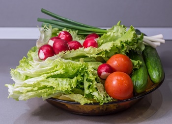 [ 텃밭 가꾸기 4 ] 6~7월 텃밭에 심기 좋은 작물