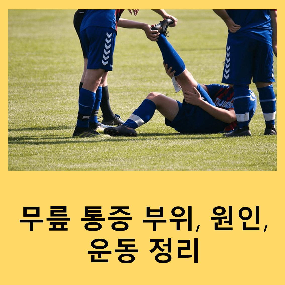 무릎