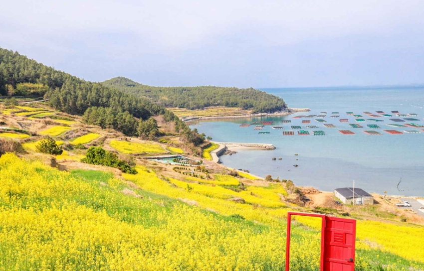 청산도 