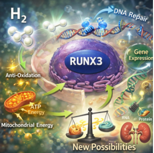 수소 - 항산화 에너지와 유전자 회복