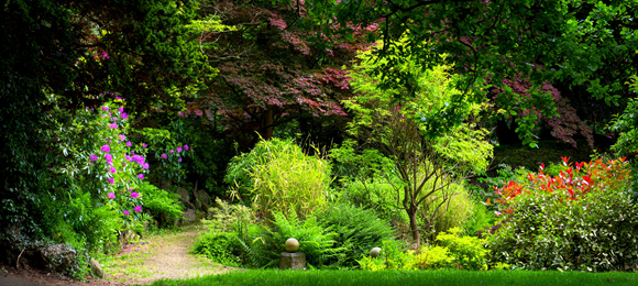 정원 가꾸기의 미래: 2030년 전망