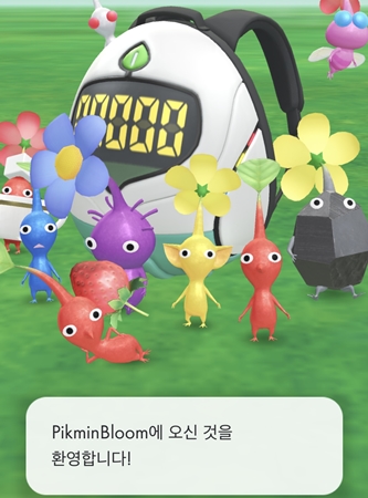 피크민 블룸 귀여운 새싹 오픈 화면