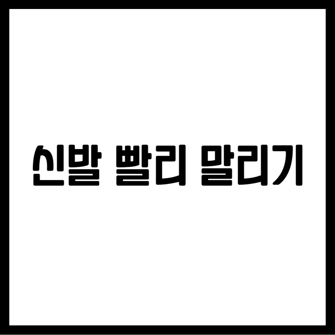 신발 빨리 말리기