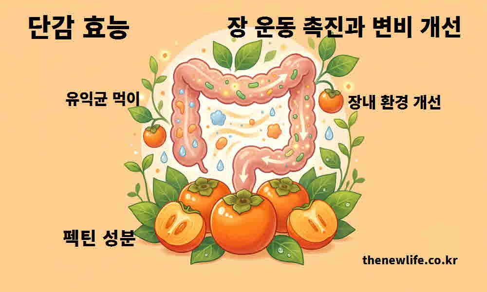 단감 효능 장 운동 촉진 변비 개선