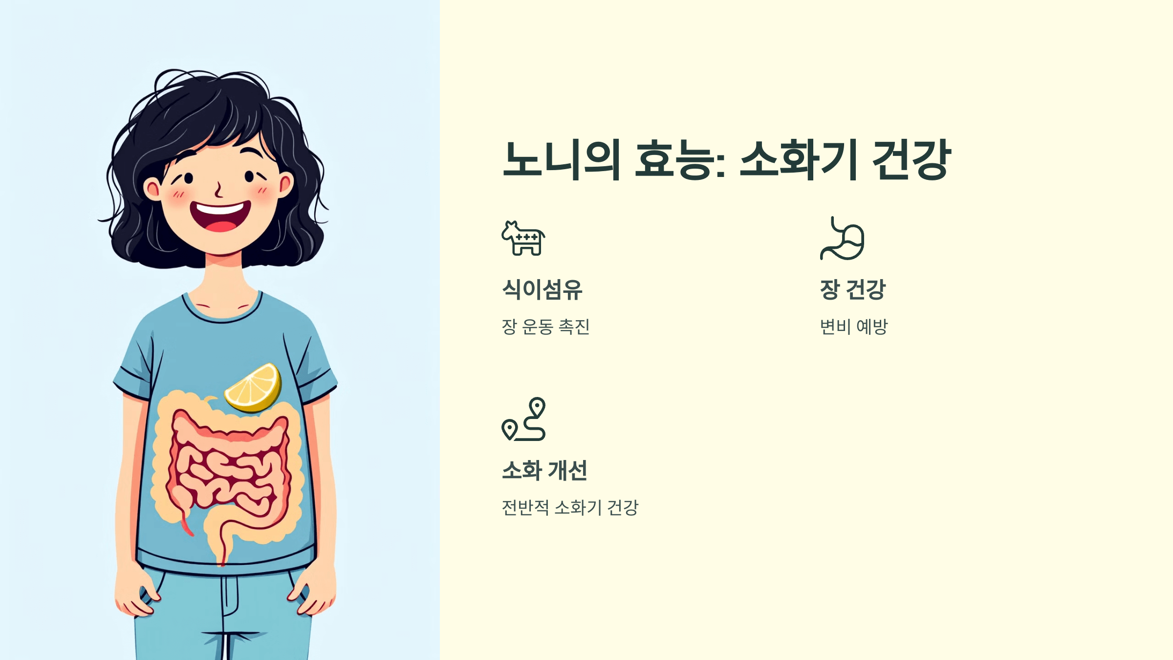 노니 사진입니다.
