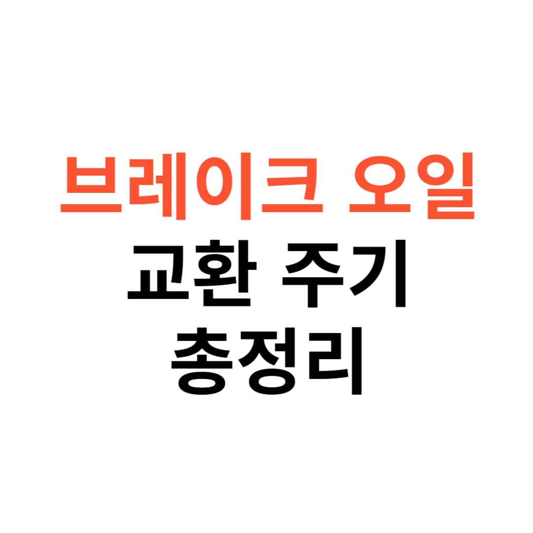 브레이크오일 교환주기