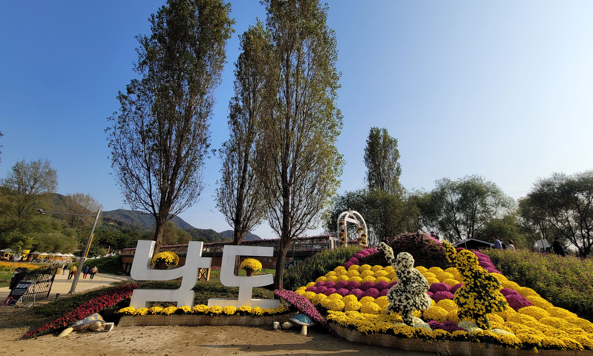 자라섬꽃축제할인