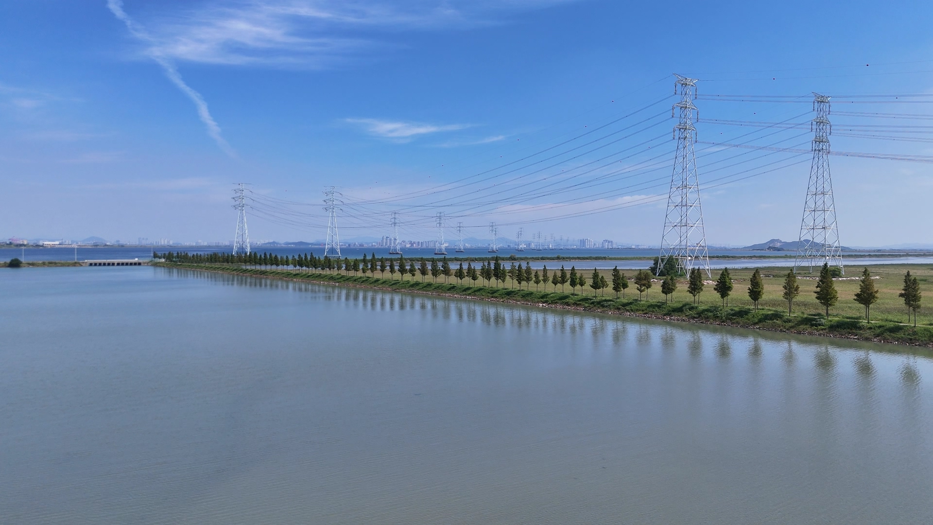 대부도 바다향기테마파크 코스모스