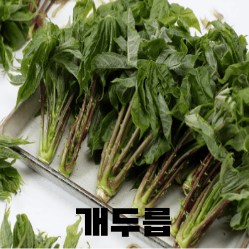 개두릅
