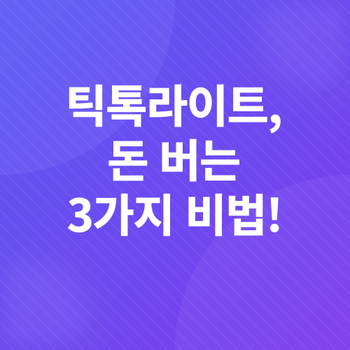 틱톡라이트 앱테크_2