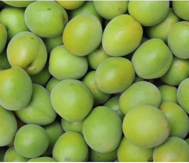 소화잘되는 음식